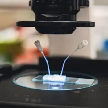 Microfluidic chip